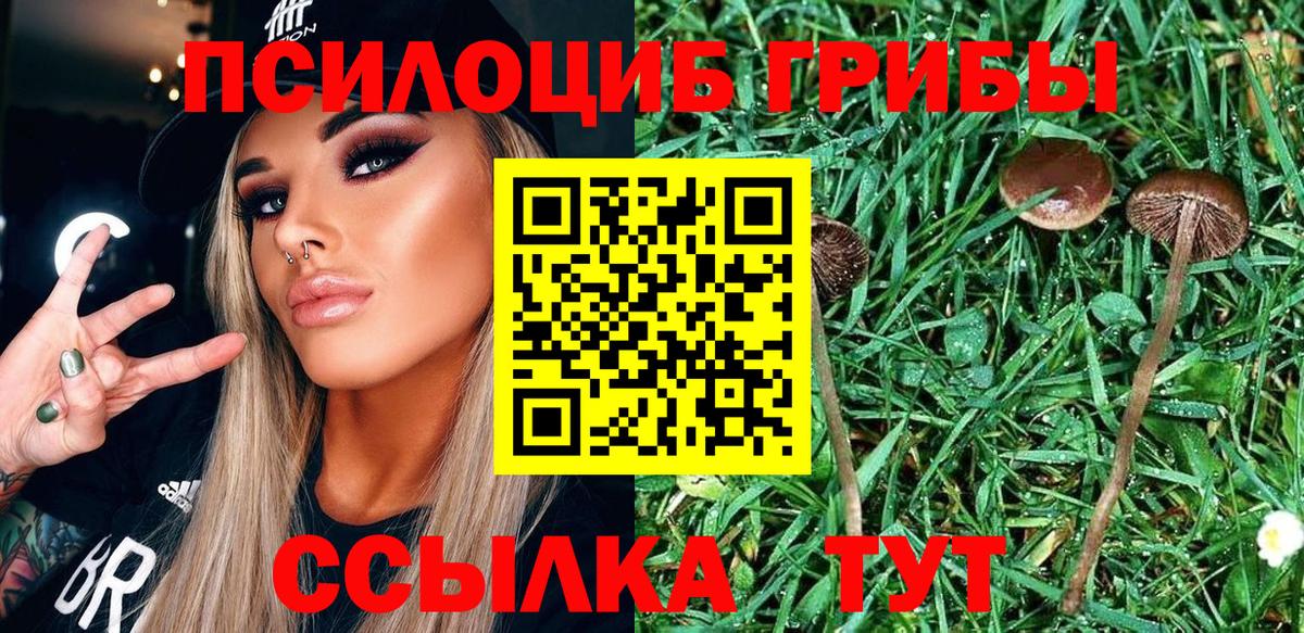 Альметьевск  Галлюциногенные грибы прущие грибы  продажа наркотиков  Вход с VPN  Галлюциногенные грибы MAGIC MUSHROOMS 